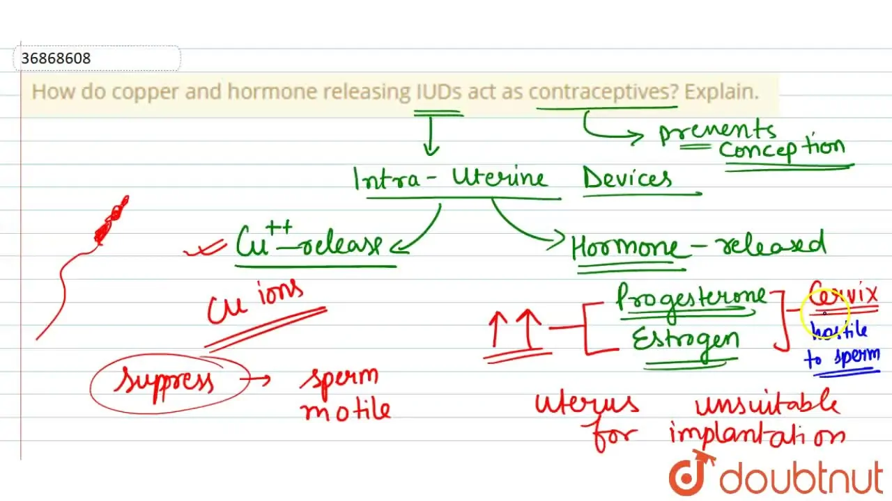 How do copper and hormone releasing IUDs act as contraceptives? Explai