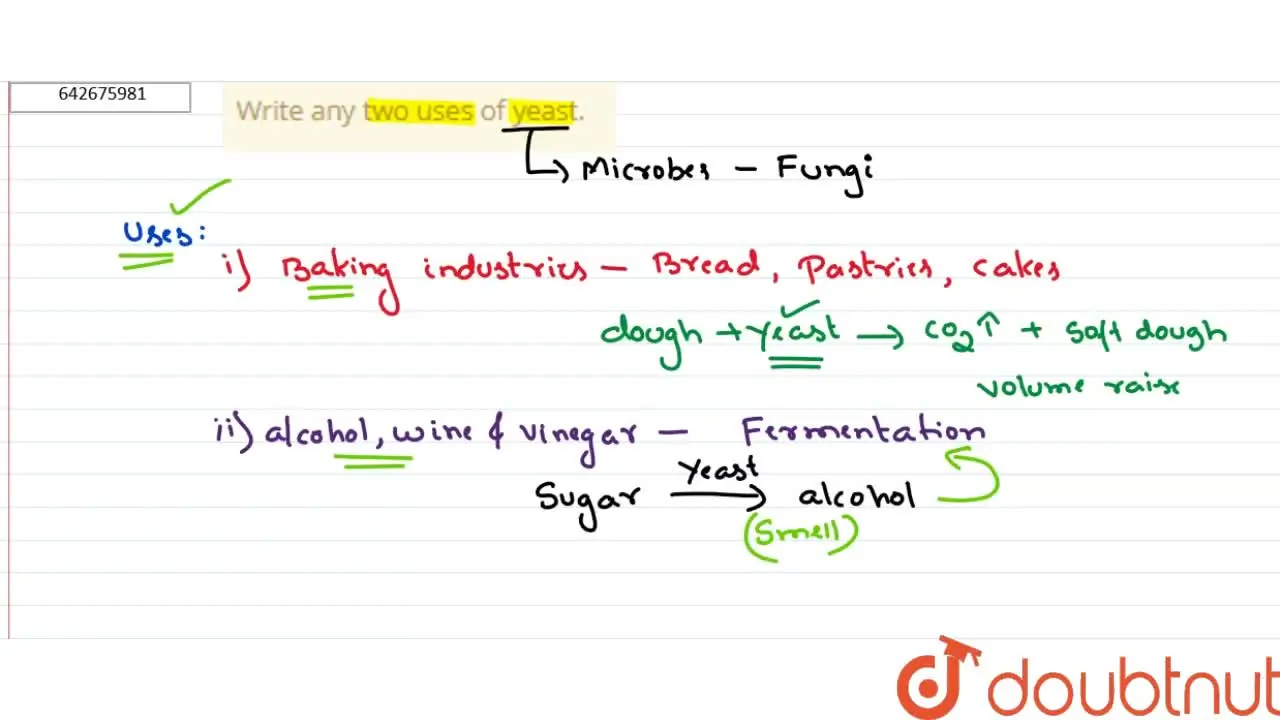 [Kannada Solution] Write any two uses of yeast.