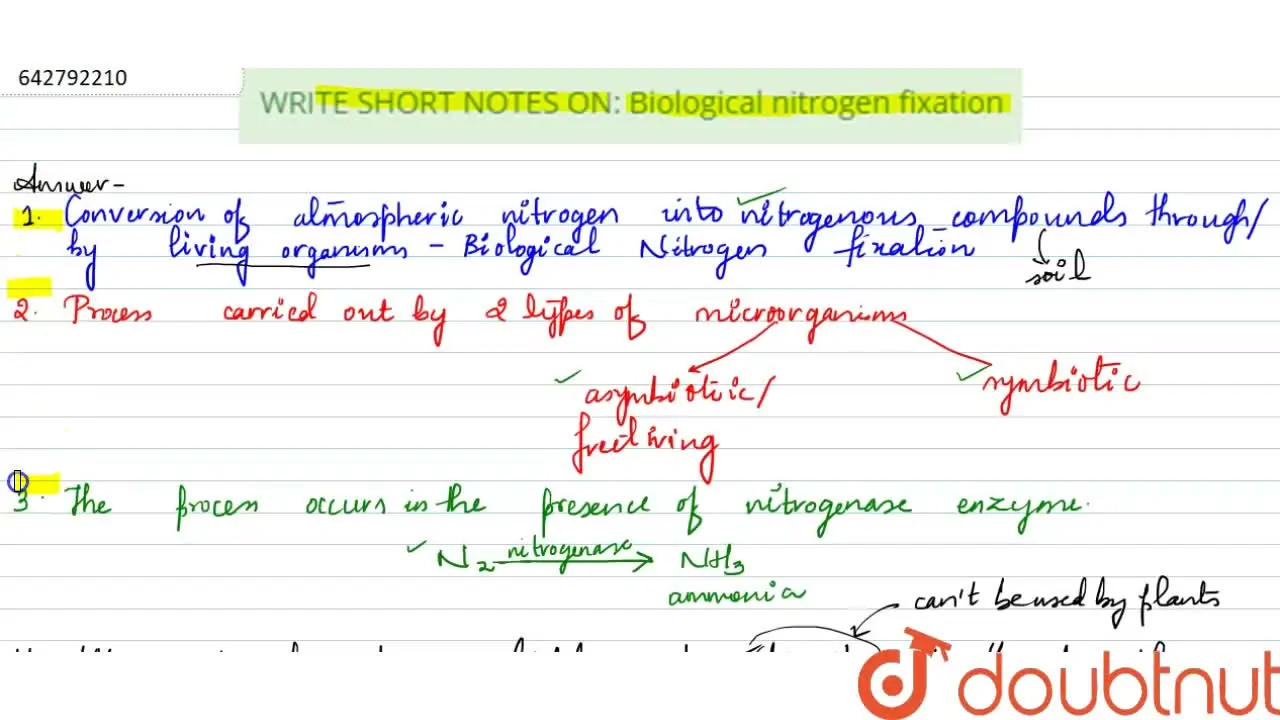 write a short essay on nitrogen fixation