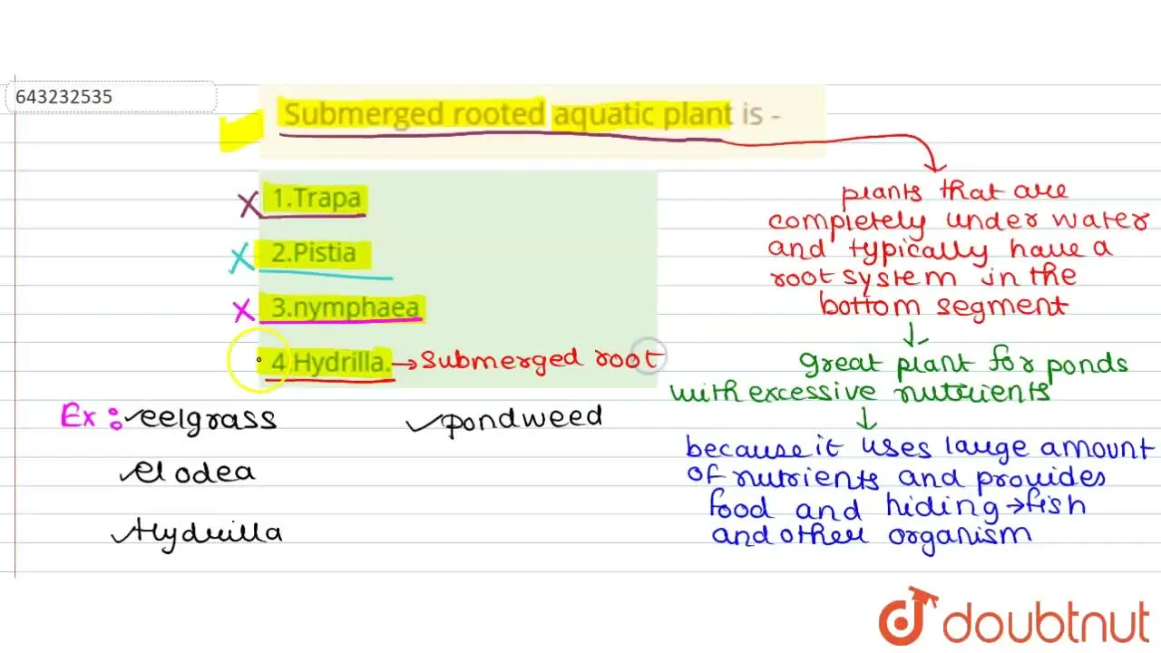 [Bengali Solution] Submerged rooted aquatic plant is