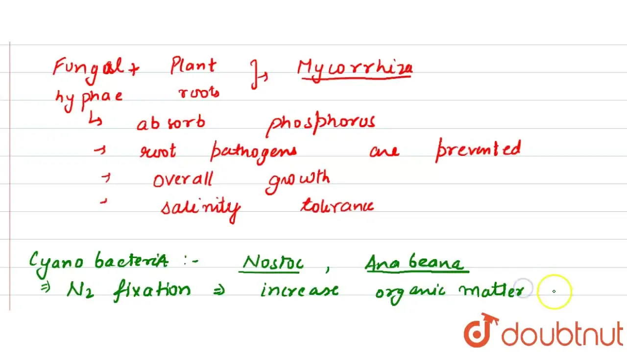 [Punjabi Solution] How do biofertilizers enrich the fertility of soil