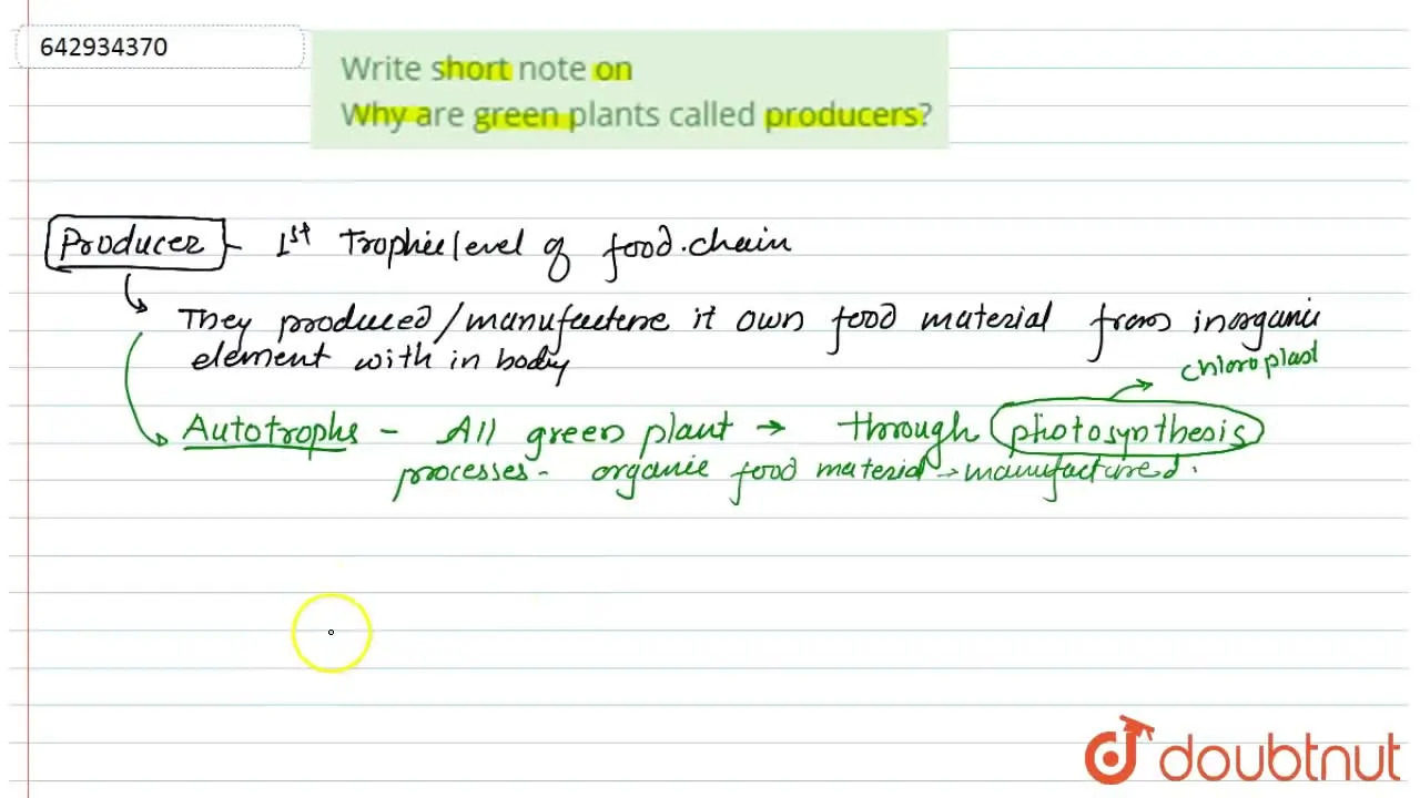 [Marathi Solution] Write short note on Why are green plants called p