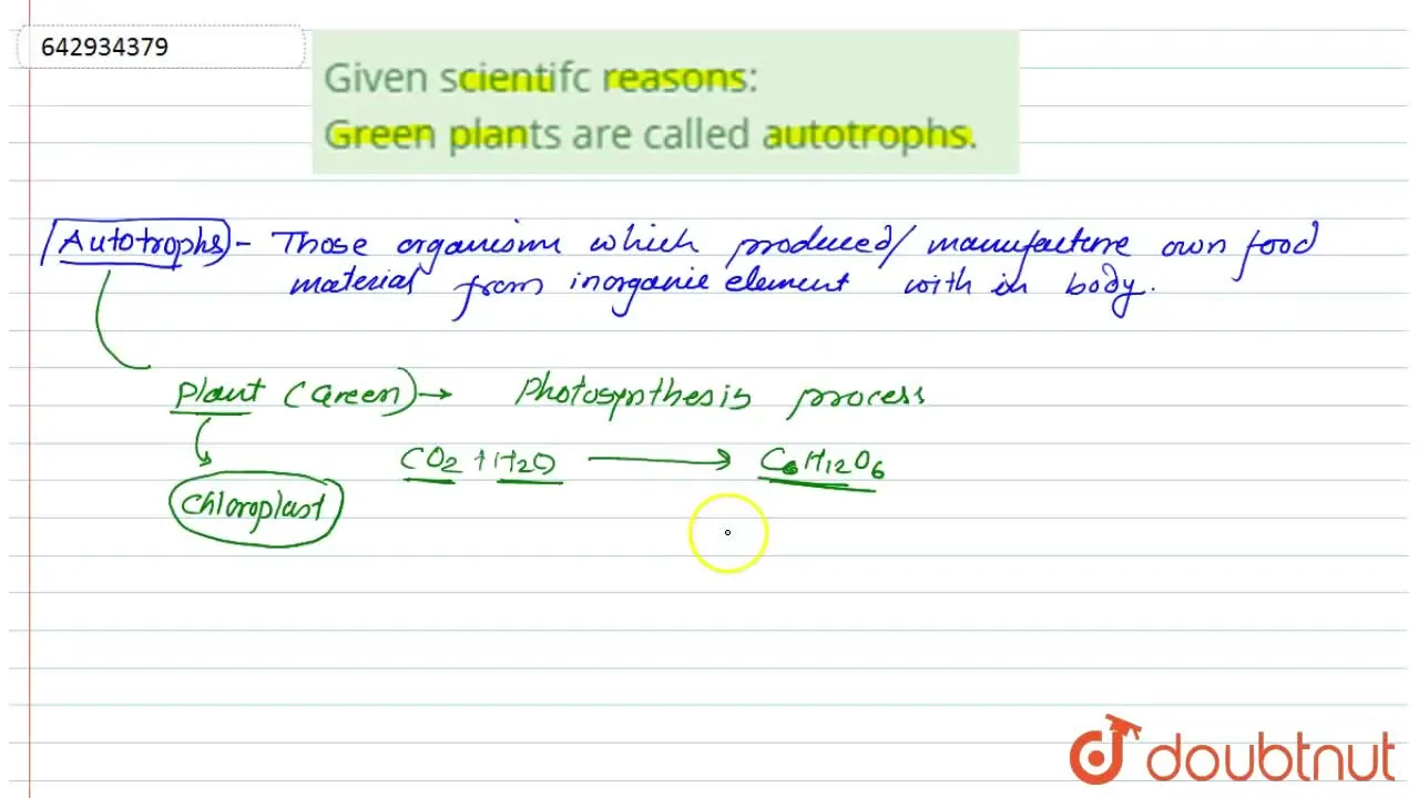 [Marathi Solution] Given scientifc reasons Green plants are called