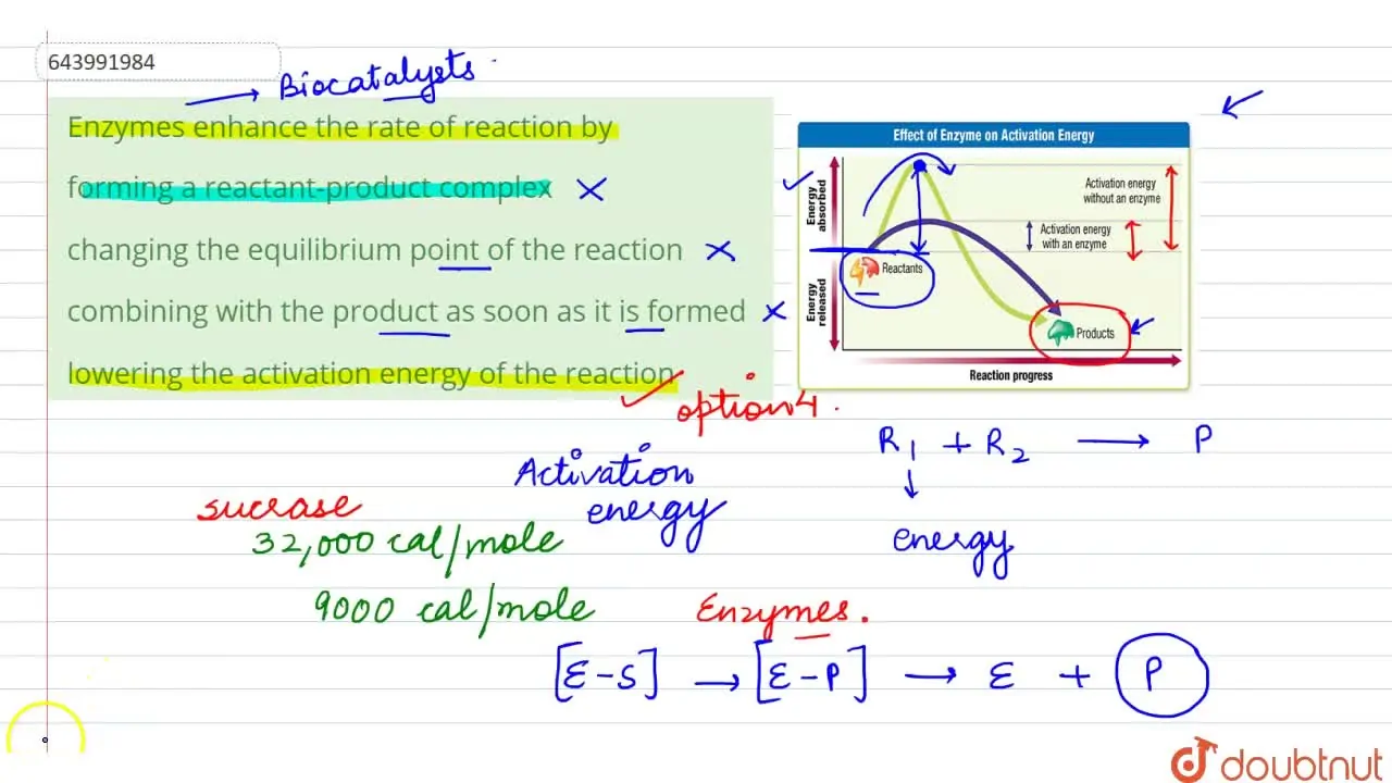 Enzymes enhance the rate of reaction by