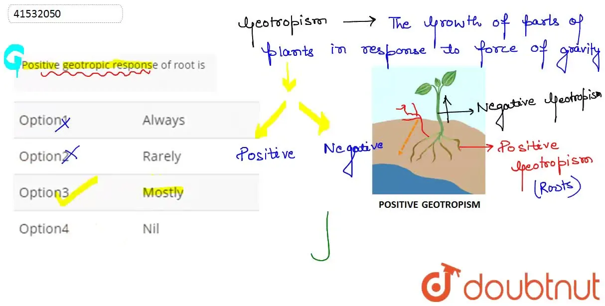 Positive geotropic response of root is