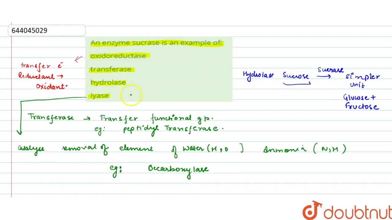 An enzyme sucrase is an example of