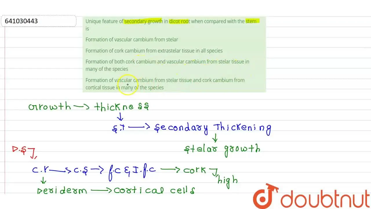 [Telugu Solution] Formation of both cork cambium and vascular cambium