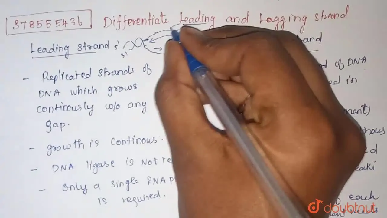 [Tamil Solution] Differentiate Leading strand and lagging strand.