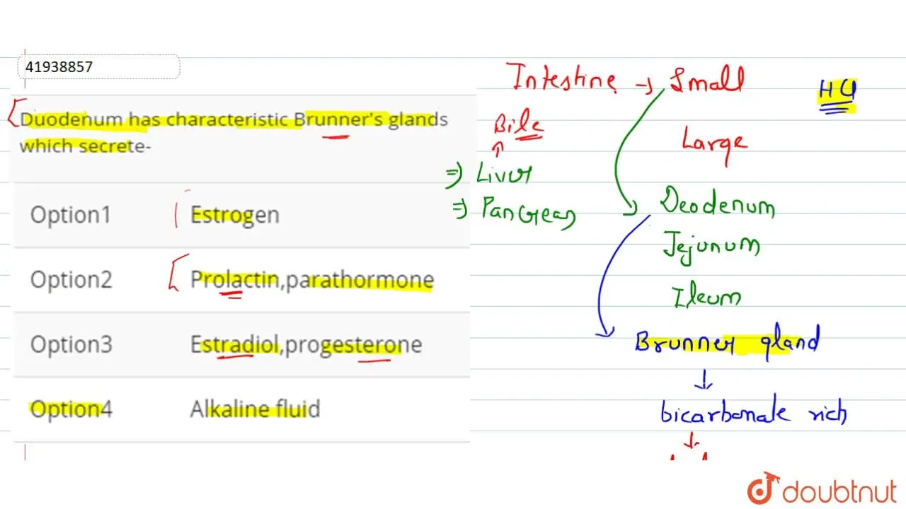 Duodenum has characteristic Brunner's glands which secrete