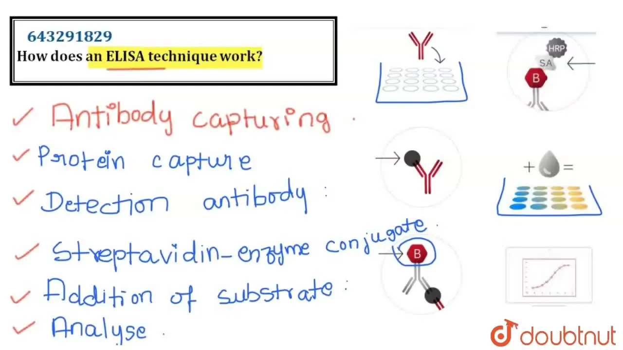 [Tamil Solution] How does an ELISA technique work?