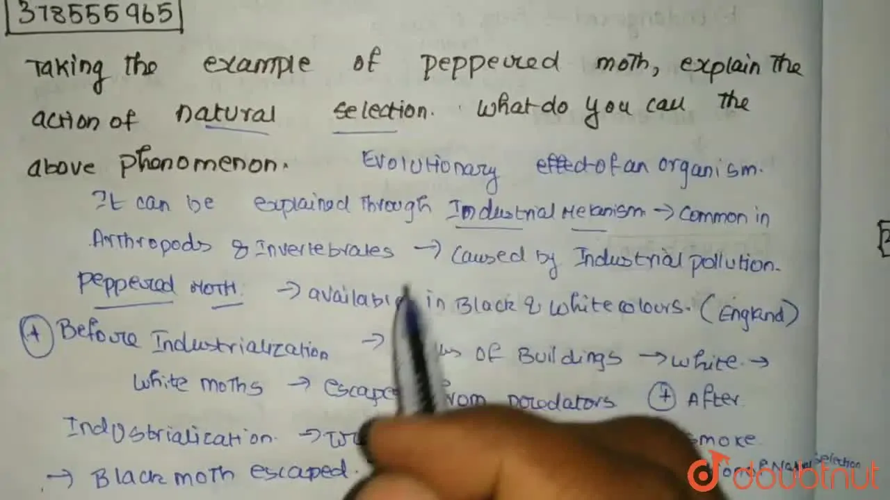 [Tamil Solution] Taking the example of Peppered moth, explain the acti