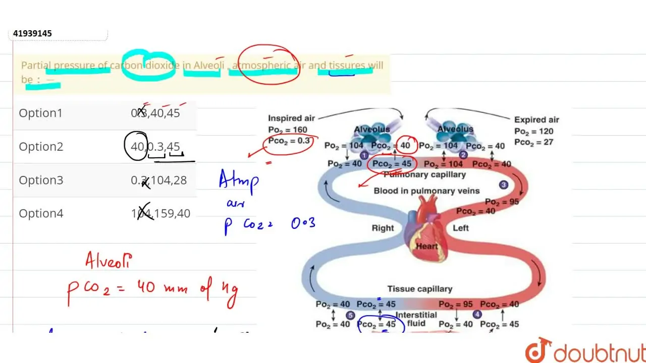 Partial Pressure Of Carbon Dioxide In Alveoli Atmospheric Air And Ti 5555