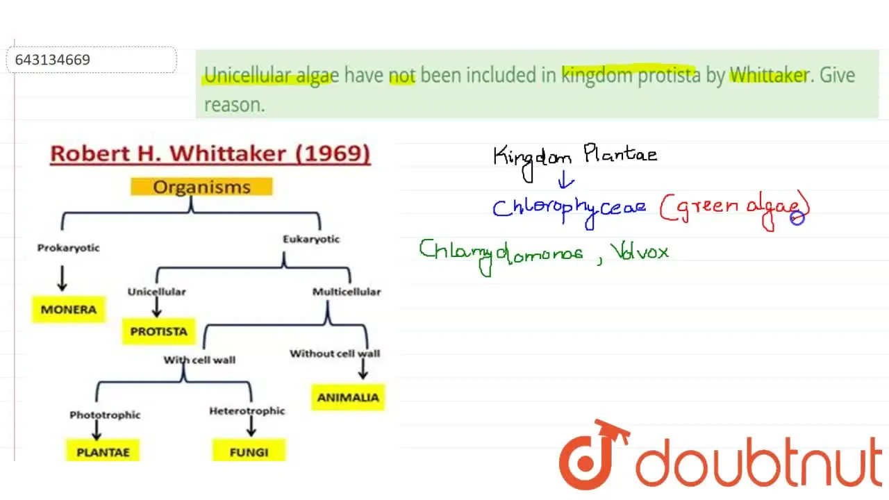 Unicellular algae have not been included in kingdom protista by Whittaker.  Give reason.