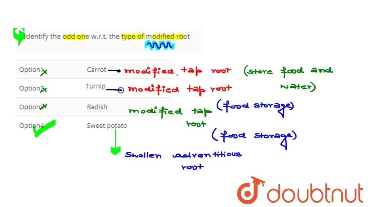Identify the odd one w.r.t. the type of modified root