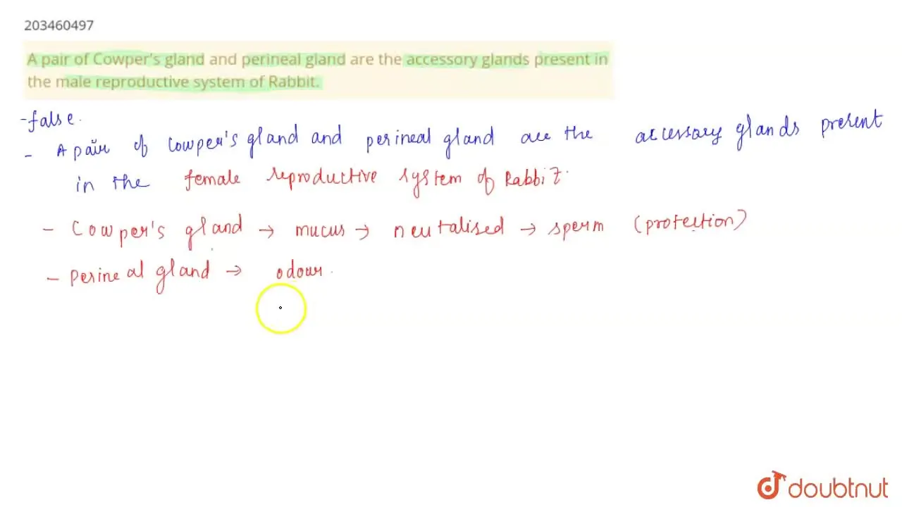 [Tamil Solution] A pair of Cowper's gland and perineal gland are the a