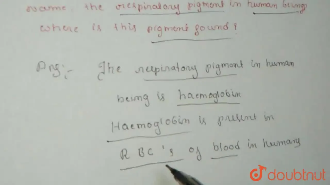 [Kannada Solution] Name the respiratory pigment in human beings. Where