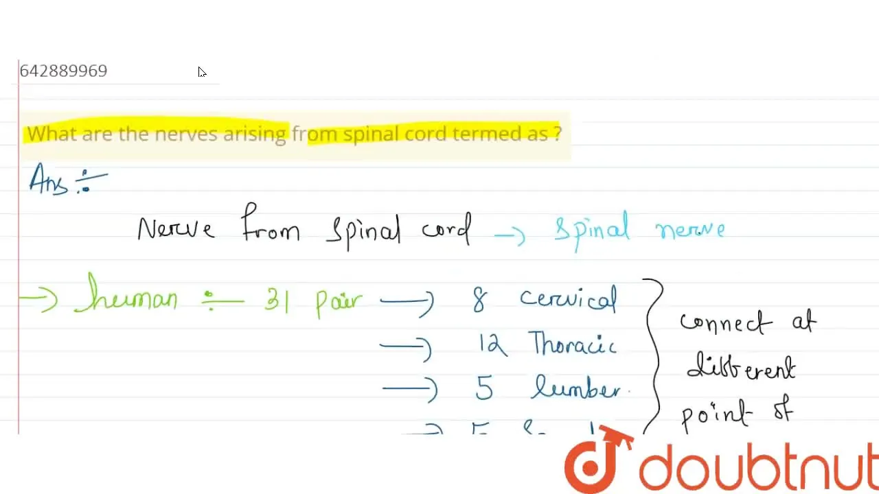 [Odia Solution] What are the nerves arising from spinal cord termed as