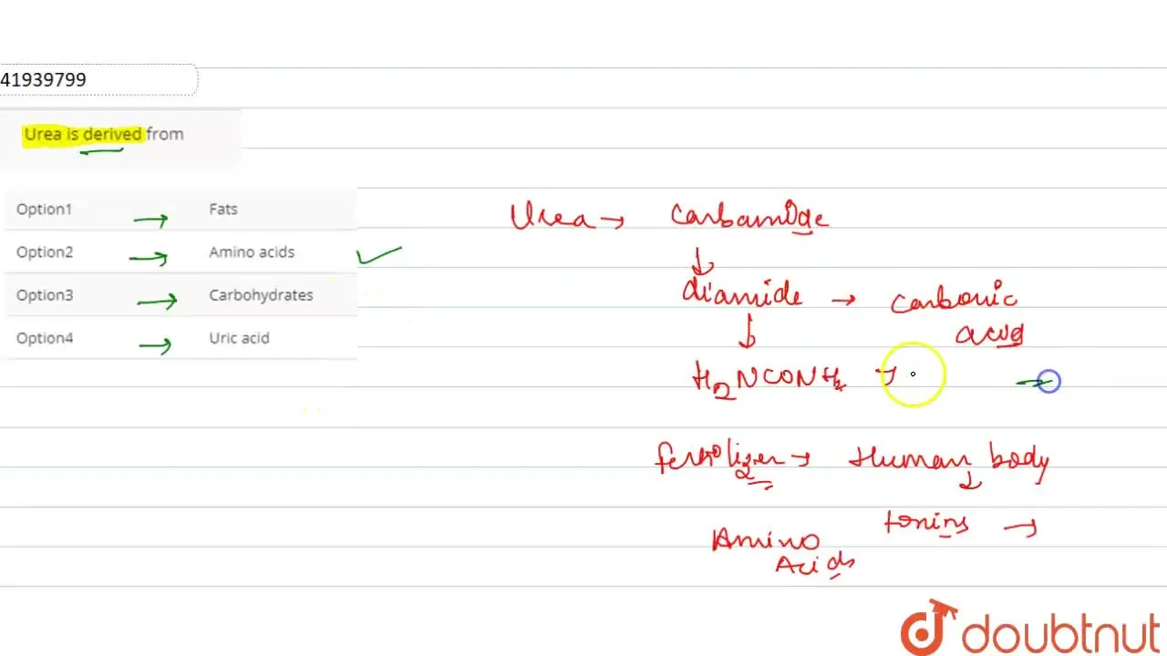 Urea is derived from