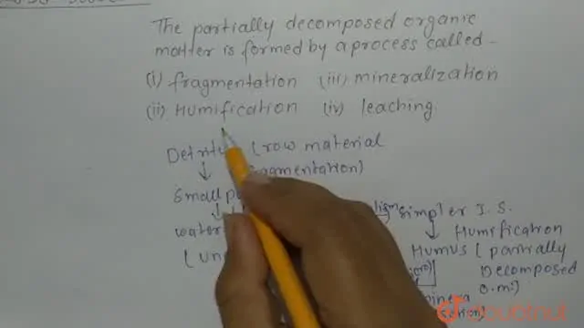 The Partially Decomposed Organic Matter Is Formed By A Process Called