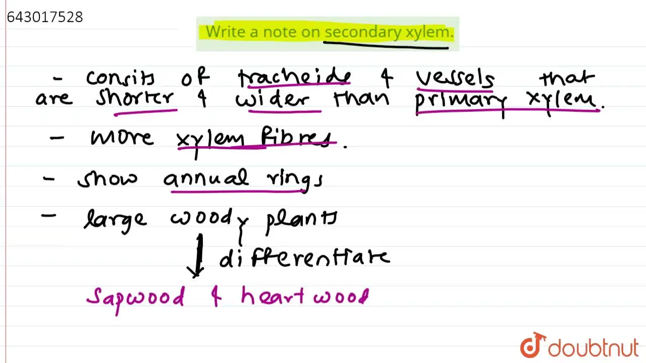 [Marathi Solution] Write a note on secondary xylem.