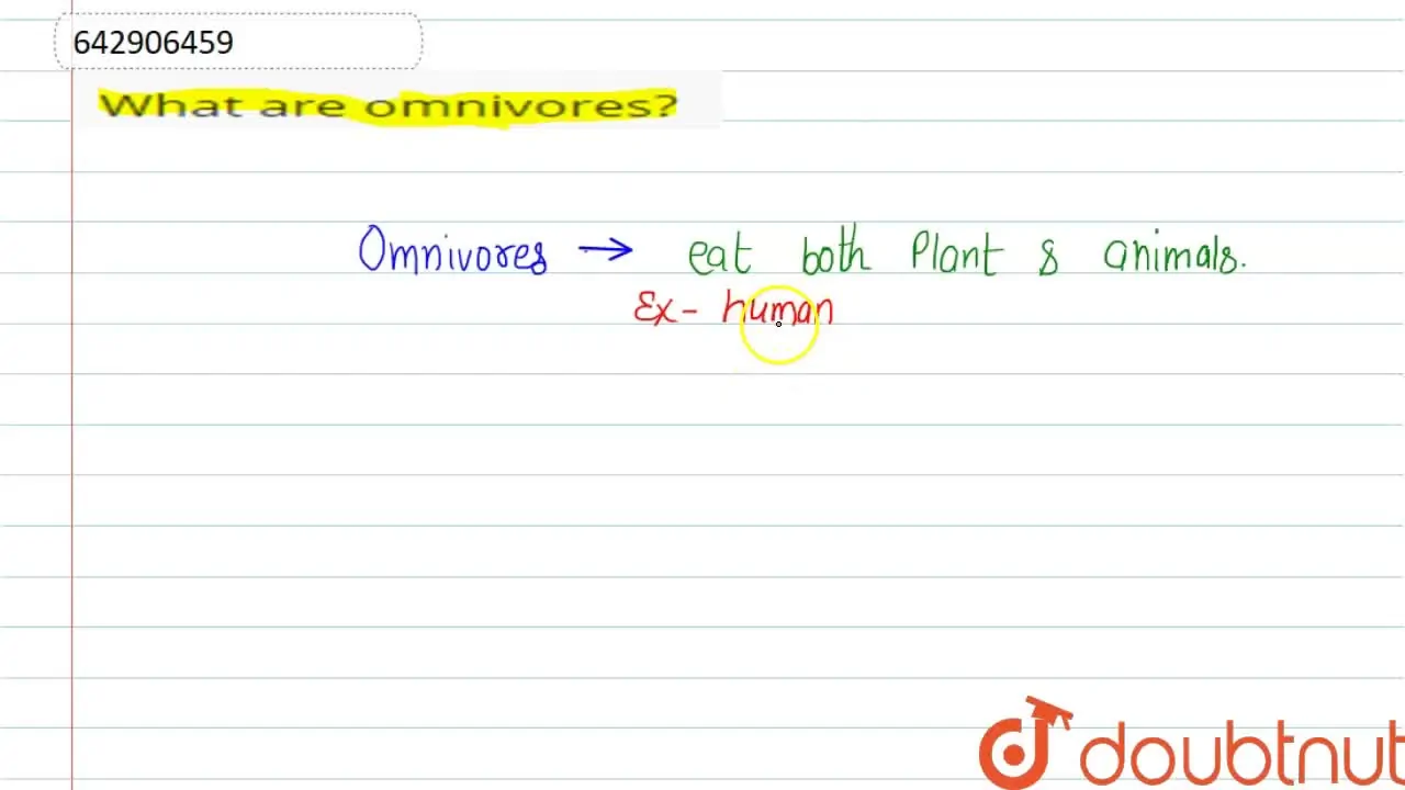 [Punjabi Solution] What are omnivores?