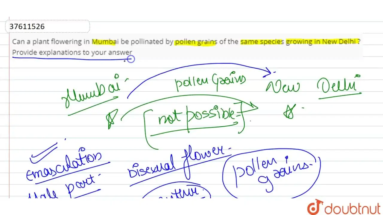 Can a plant flowering in Mumbai be pollinated by pollen grains of the