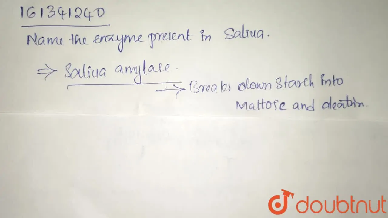 [Telugu Solution] Name the enzyme present in saliva.