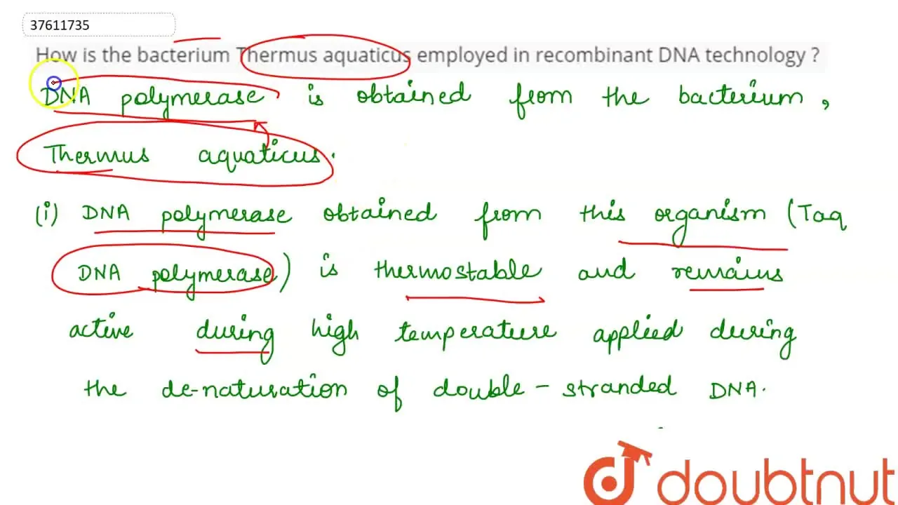 How is the bacterium Thermus aquaticus employed in DNA tec