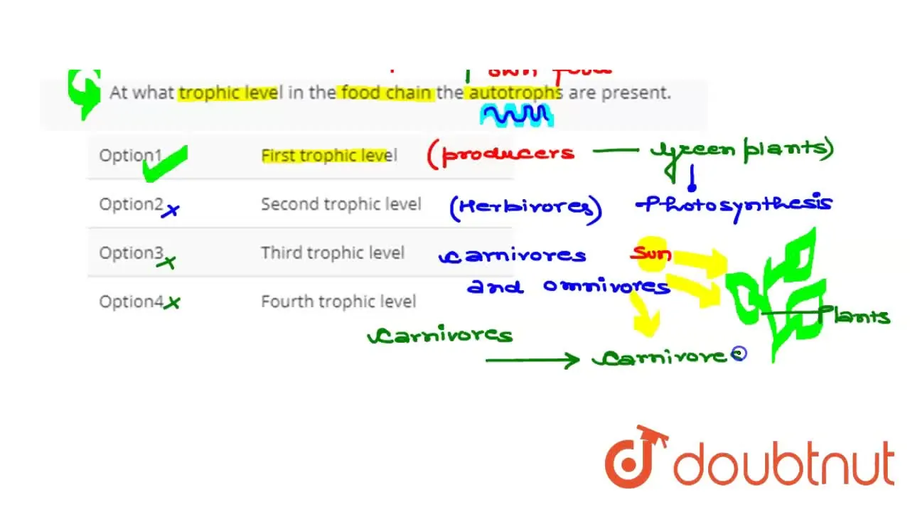 food-chain-definition-parts-types-and-examples