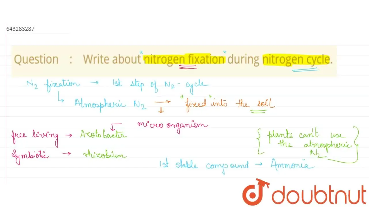[Bengali Solution] Write about nitrogen fixation during nitrogen cycle