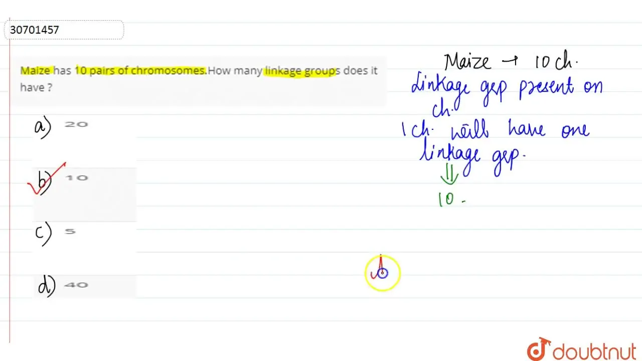 Maize has 10 pairs of chromosomes.How many linkage groups does it have