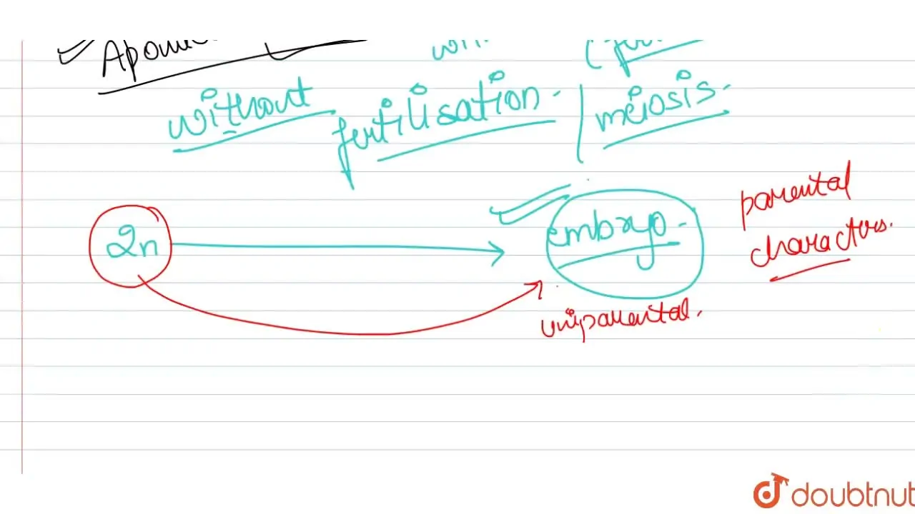 (a) How are Parthenocarpic fruits produced by some plants and apomicti