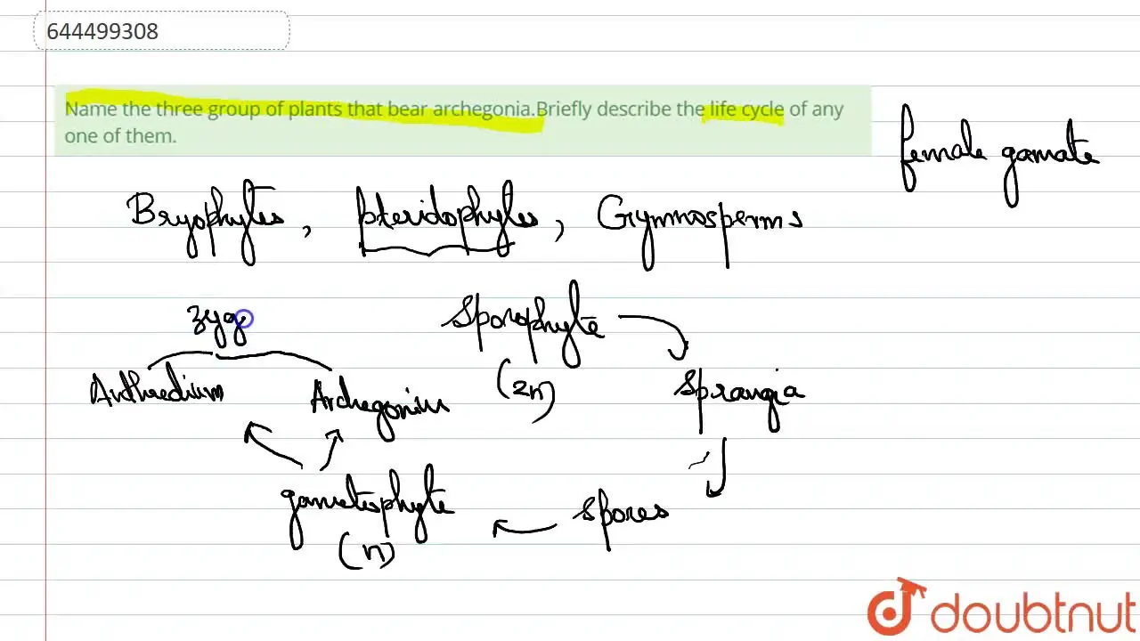 [Malayalam Solution] Name the three group of plants that bear archegon