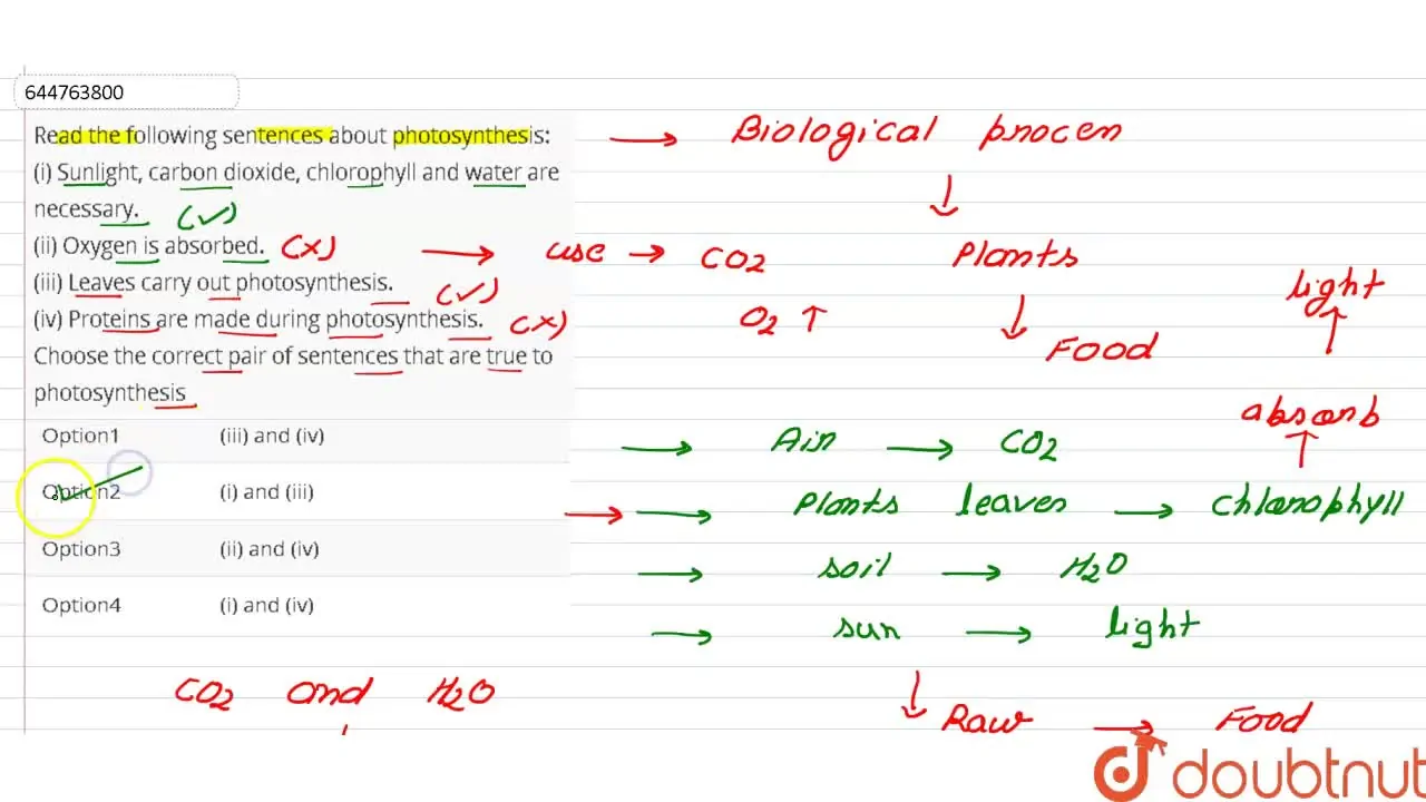 Read the following sentences about photosynthesis: (i) Sunlight, carbon  dioxide, chlorophyll and water are necessary. (ii) Oxygen is absorbed.  (iii) Leaves carry out photosynthesis. (iv) Proteins are made during  photosynthesis. Choose the
