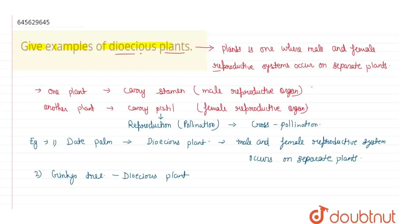 [Punjabi Solution] Give examples of dioecious plants.