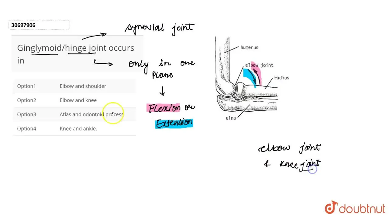 Ginglymoid/hinge joint occurs in