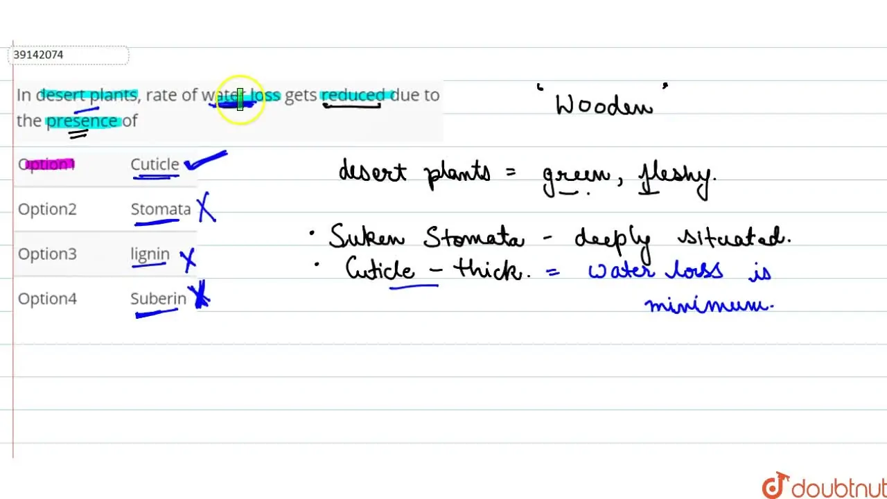 In desert plants, rate of water loss gets reduced due to the presence