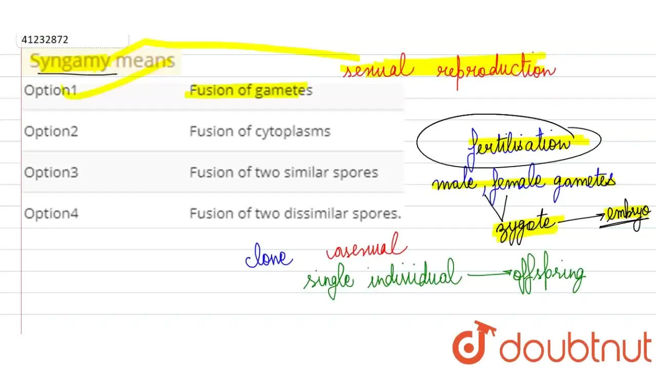 [Solved] Syngamy means