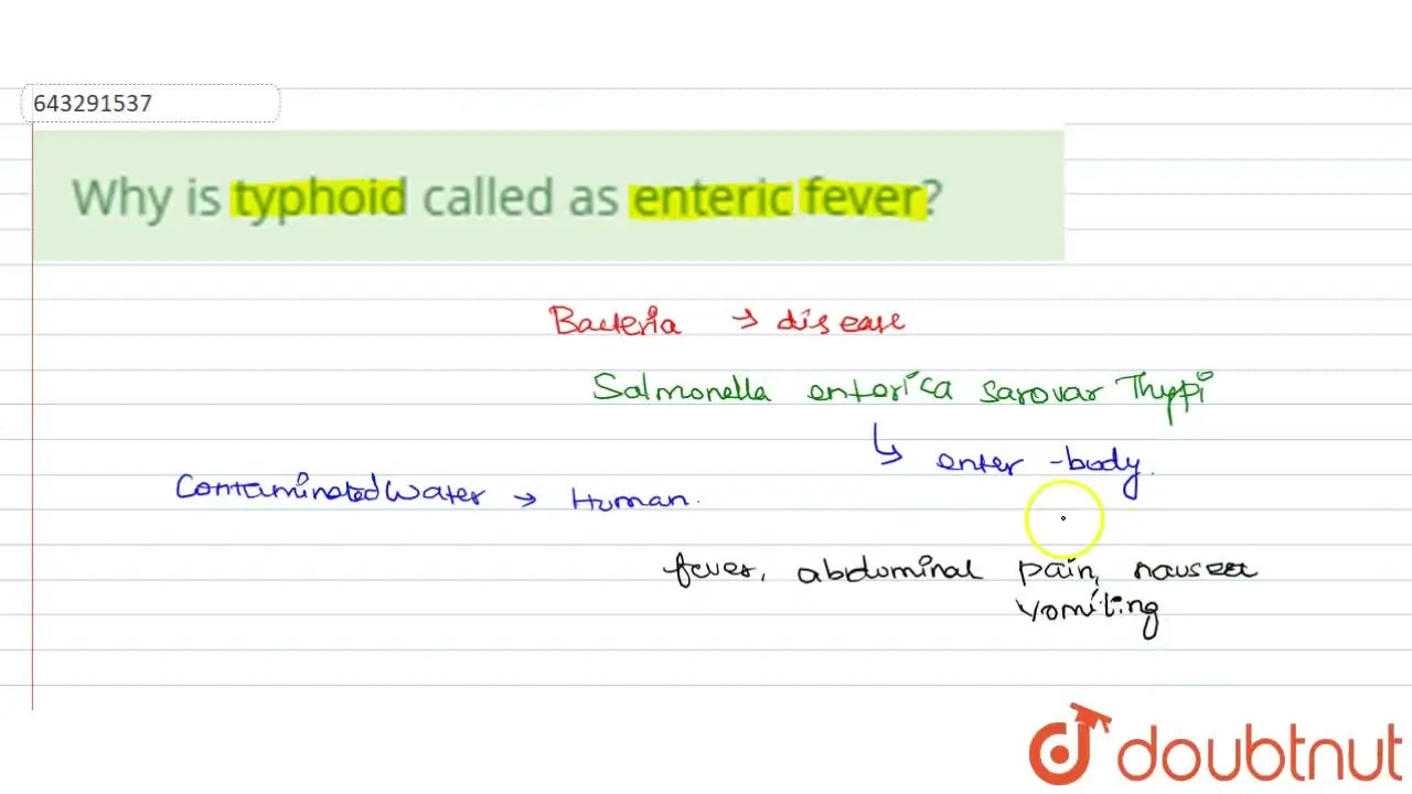 [Tamil Solution] Why is typhoid called as enteric fever?