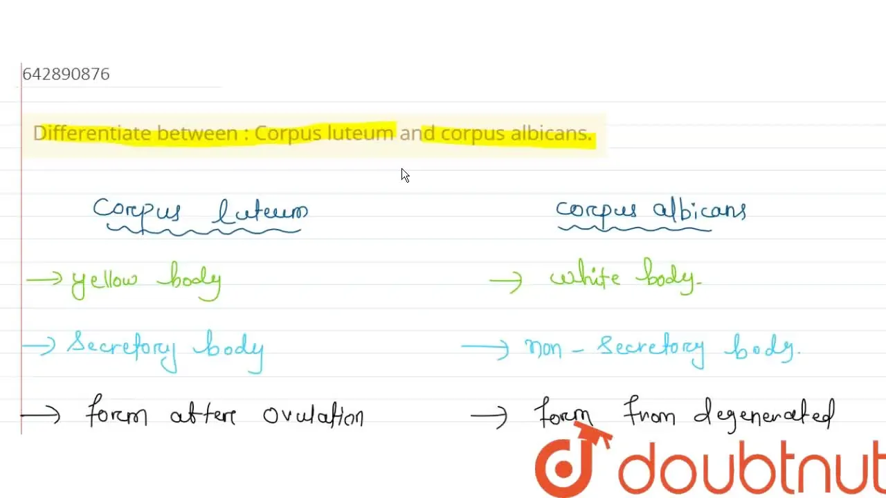 Corpus Luteum - NEET Biology Notes