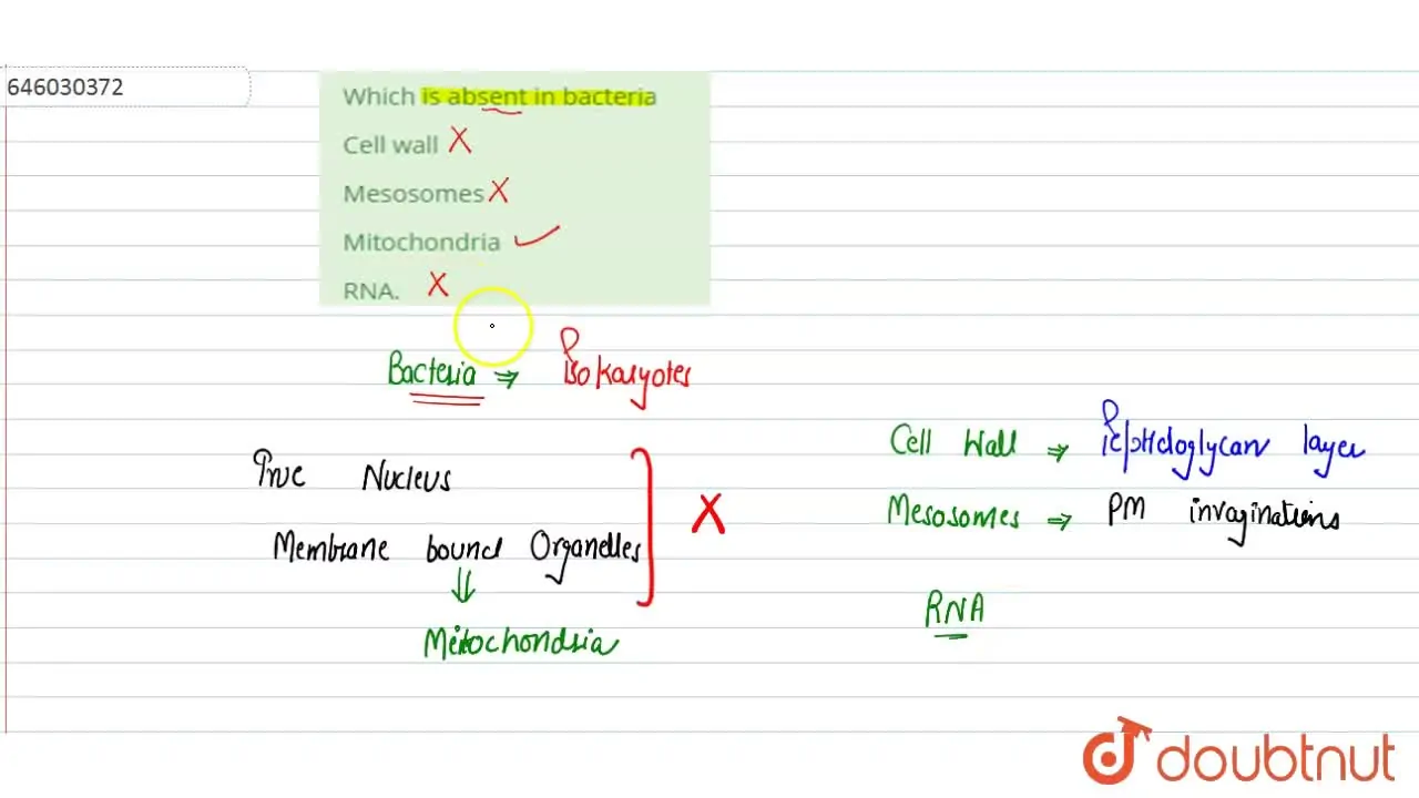 Which is absent in bacteria