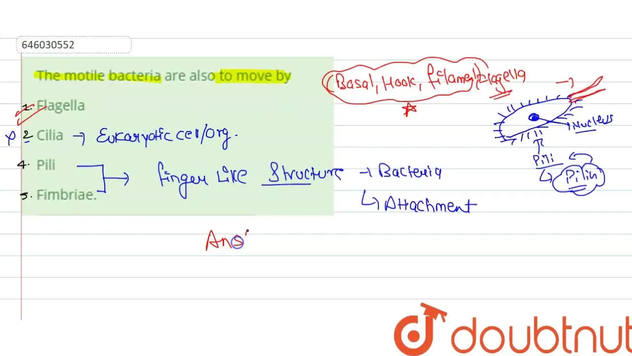 The motile bacteria are also to move by