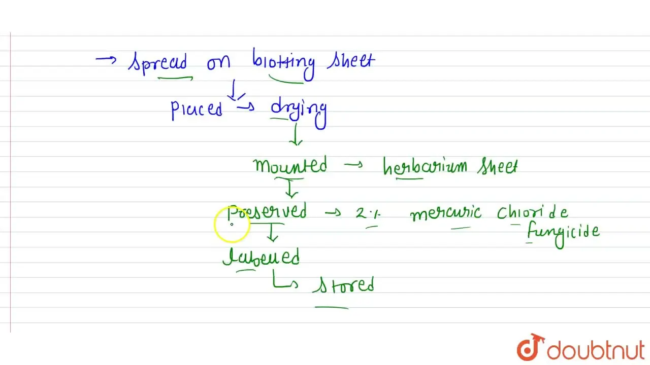[Gujrati Solution] Write short note on Herbarium.