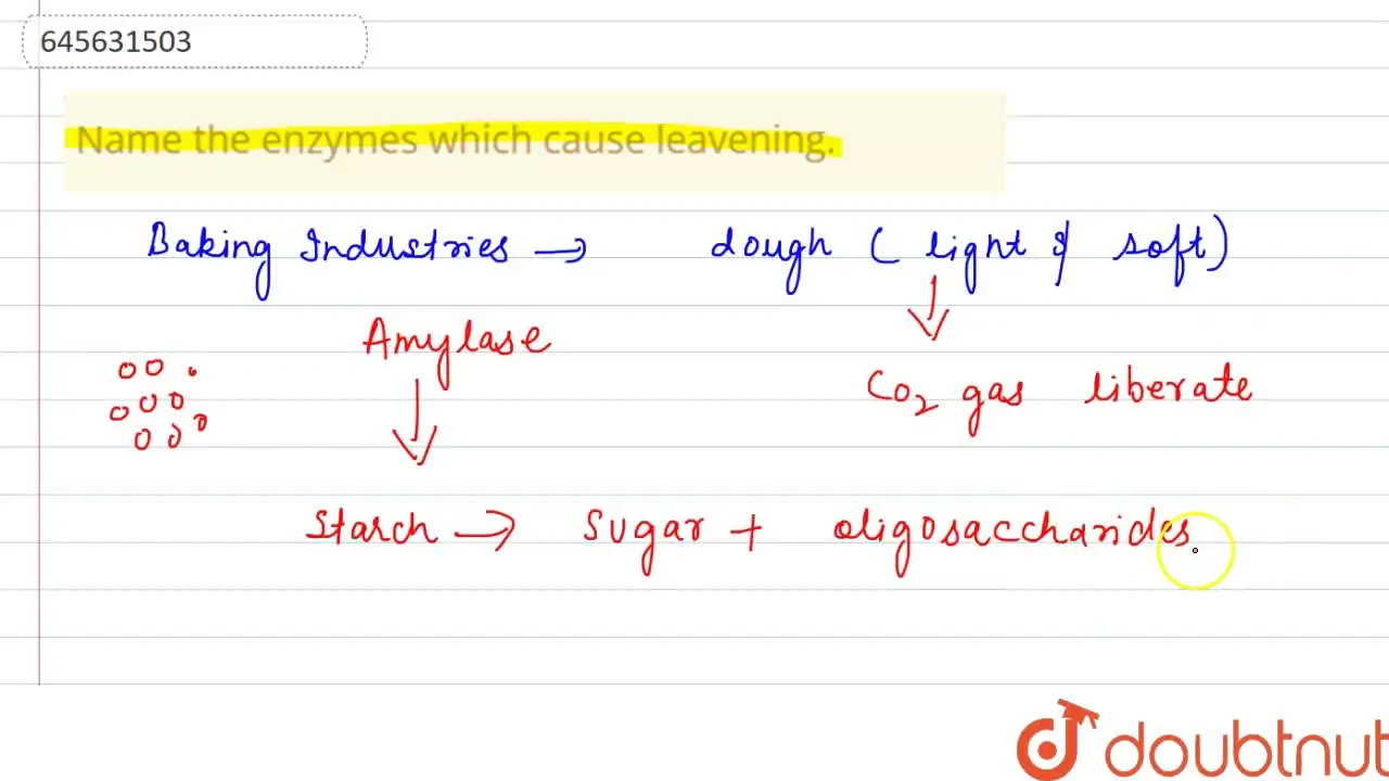 [Punjabi Solution] Name the enzymes which cause leavening.