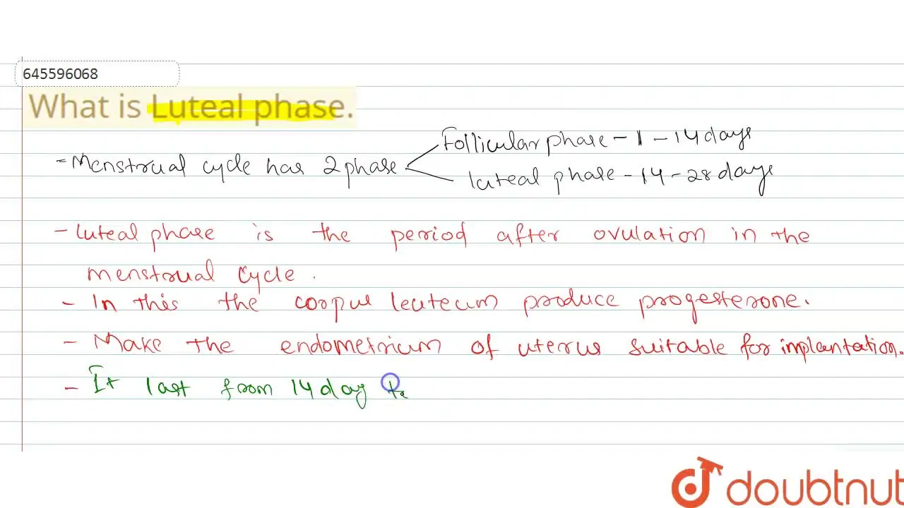 What is luteal phase?