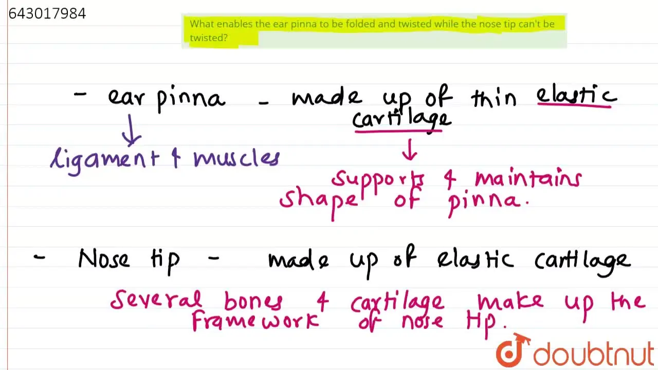 [Marathi Solution] What enables the ear pinna to be folded and twisted