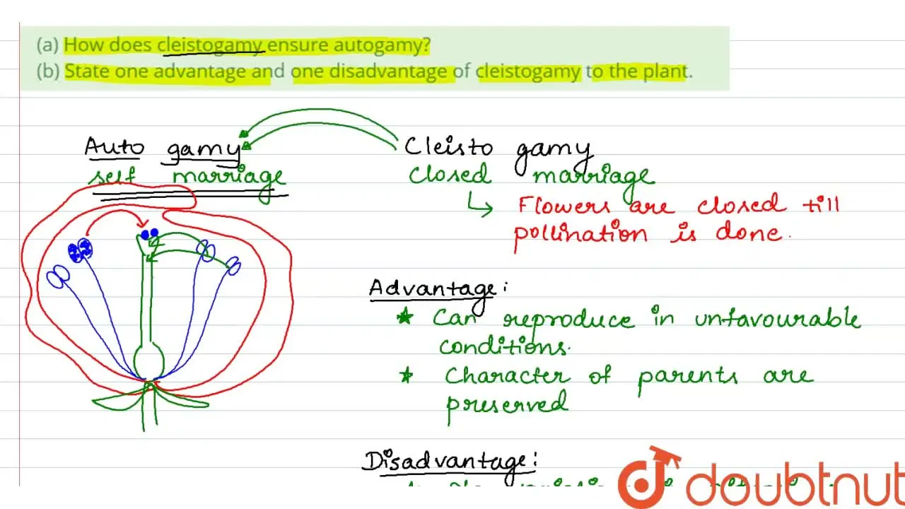 [Kannada Solution] (a) How does cleistogamy ensure autogamy? (b) Sta
