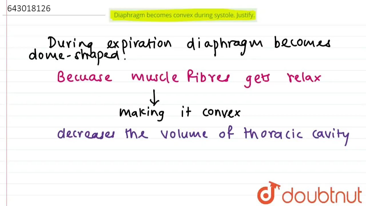 [Marathi Solution] Diaphragm convex during systole. Justify.
