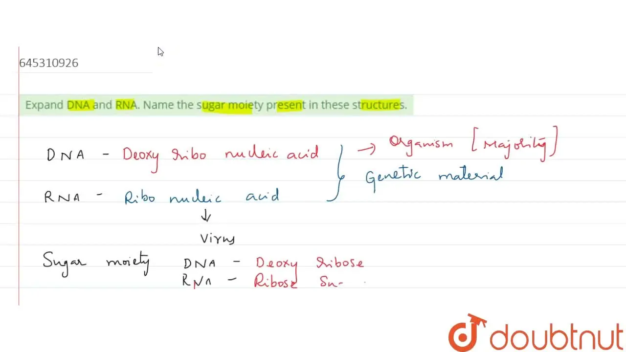 [Kannada Solution] Expand DNA and RNA. Name the sugar moiety present i