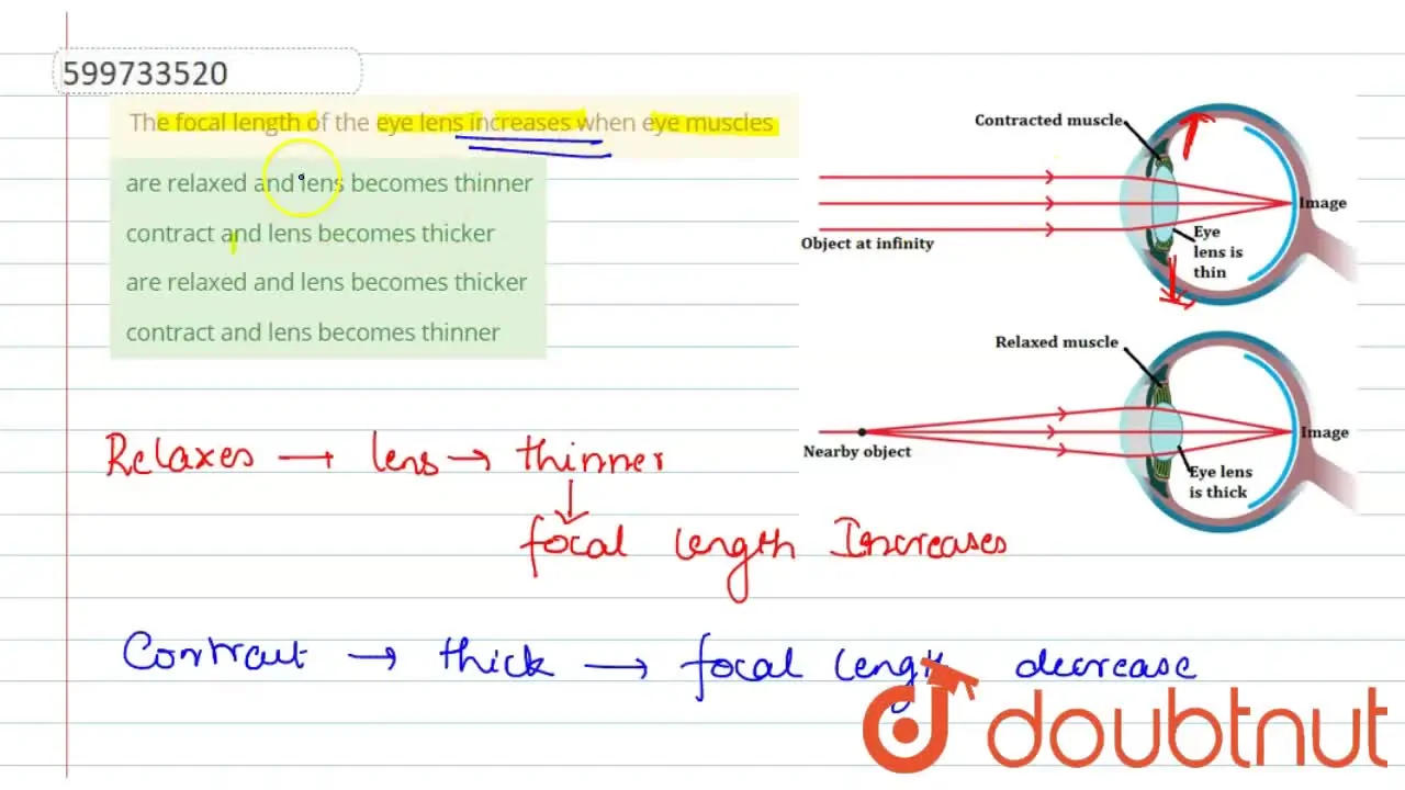 [Kannada] The focal length of the eye lens increases when eye muscles